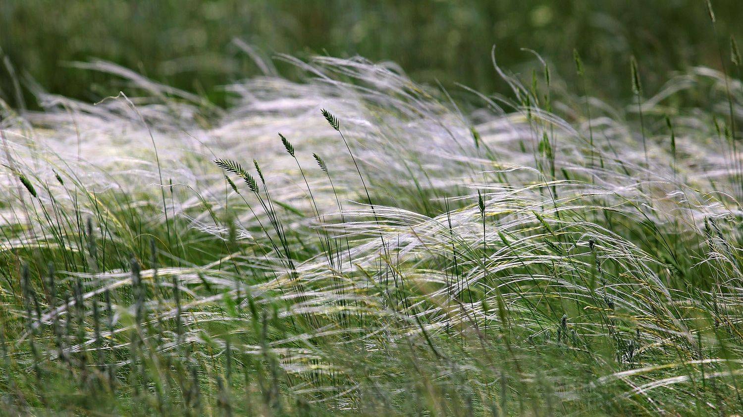 орск, оренбургская, обл., качурин, новотроицк, южный, урал, Качурин Алексей