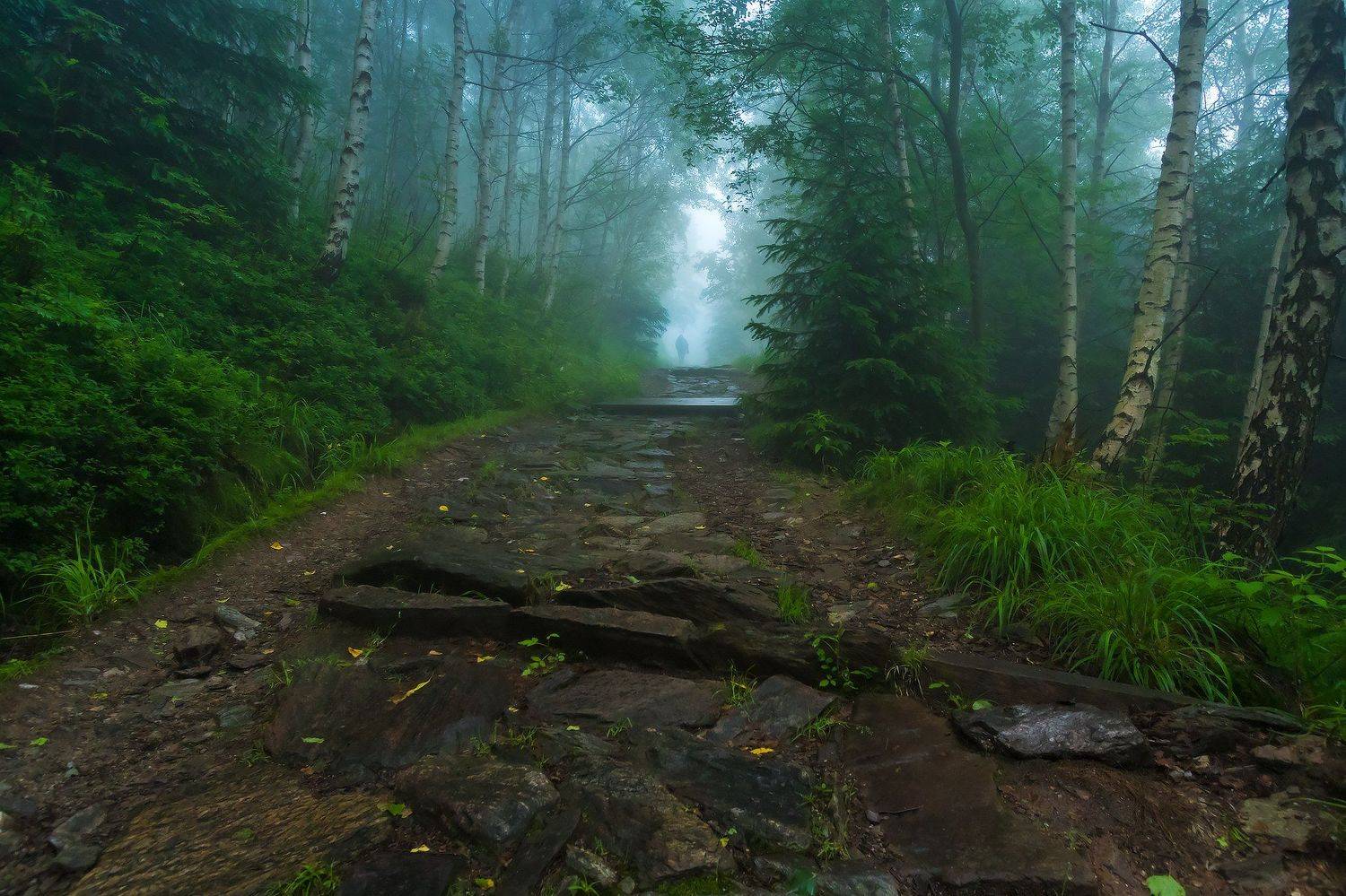 , Łukasz Sok&oacute;ł