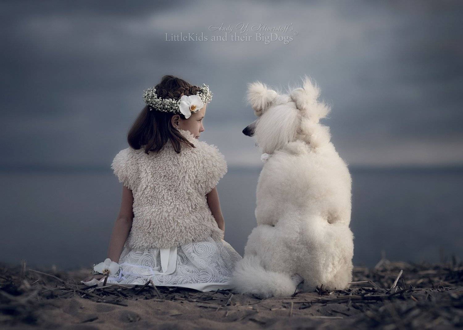 , Андрей Селиверстов