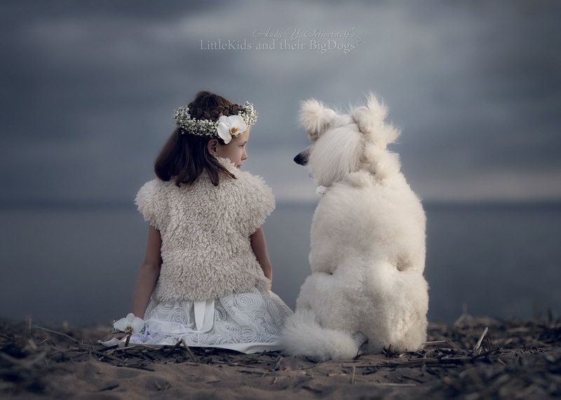 May evening on the sullen Baltic shore фото превью