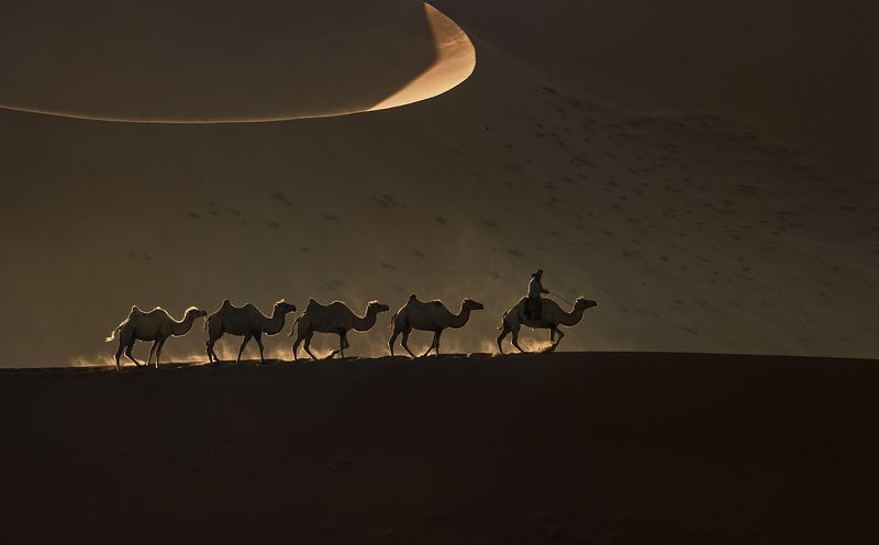 The way home фото превью