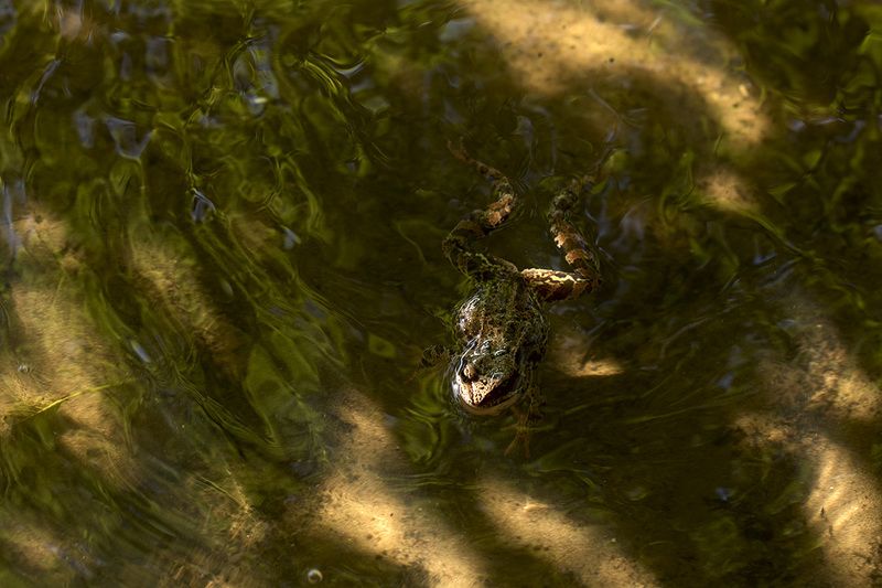Маскировка фото превью