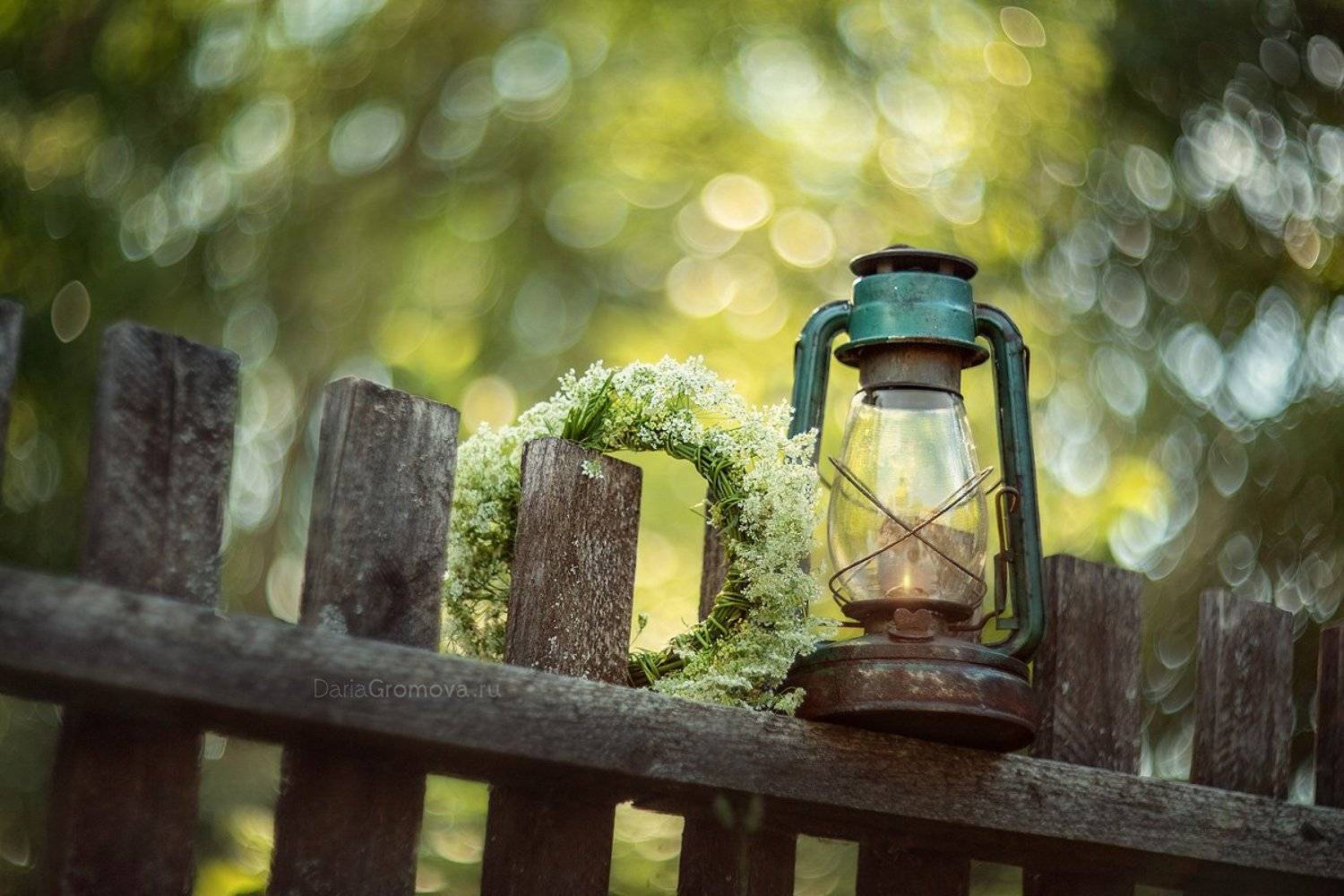 боке, ручной обьектив, мануальная оптика, фотограф, фотосессия, натюрморт, фото, блики, цветы, гелиос, макро, шмель, природа,, Дарья Громова