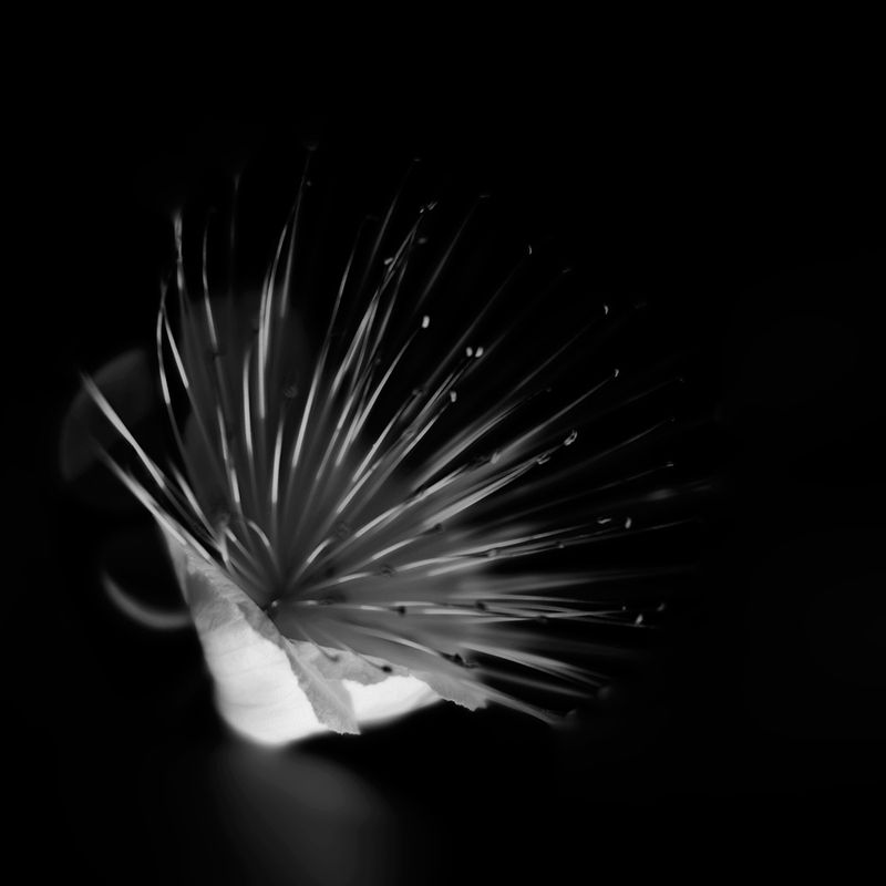 ... фото превью