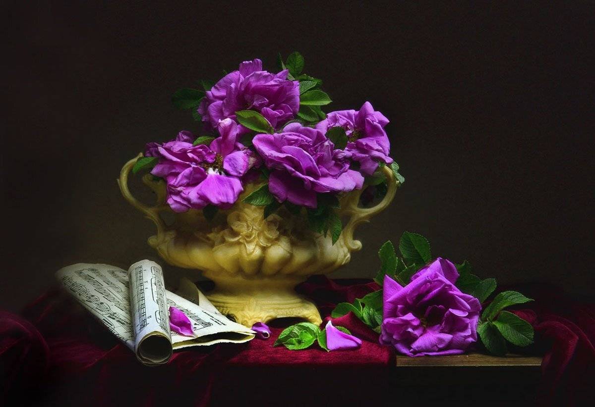 still life,натюрморт, июнь, лето ,ноты ,фото натюрморт ,цветы ,шиповник, Колова Валентина