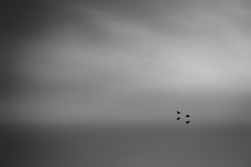 On the beach фото превью