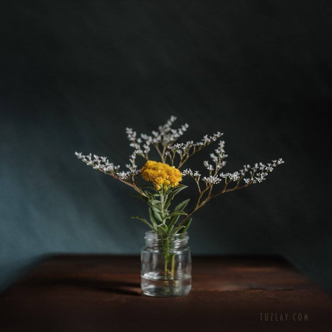 лето в банке, желтый цветок, углостебельник татарский, inula germanica, девясил германский, Владимир Тузлай