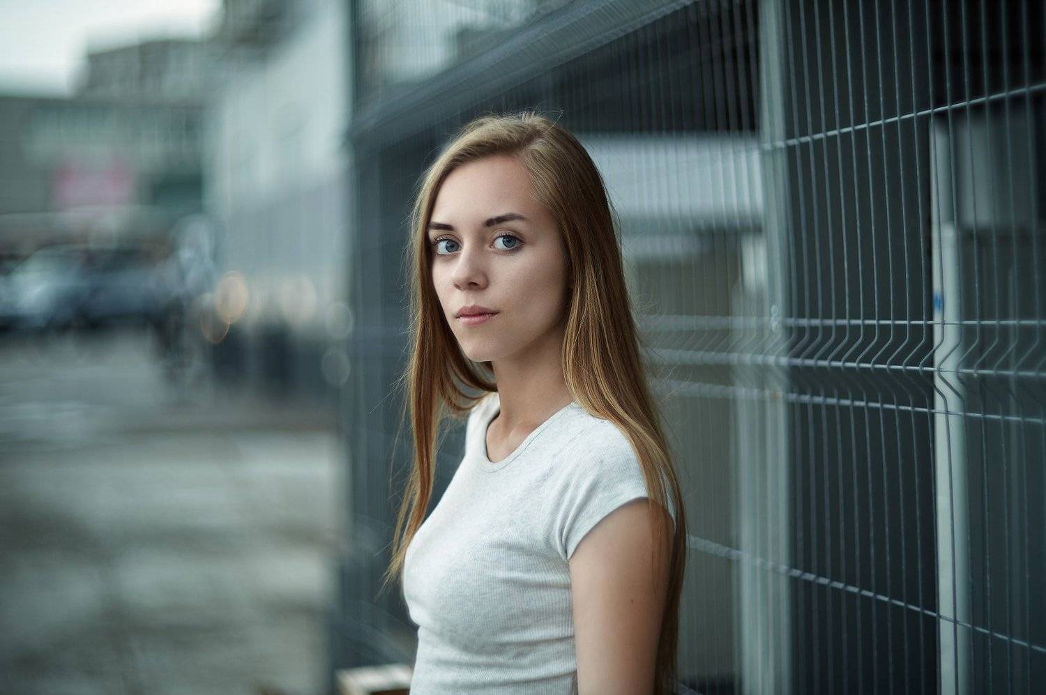 , Веселов Александр