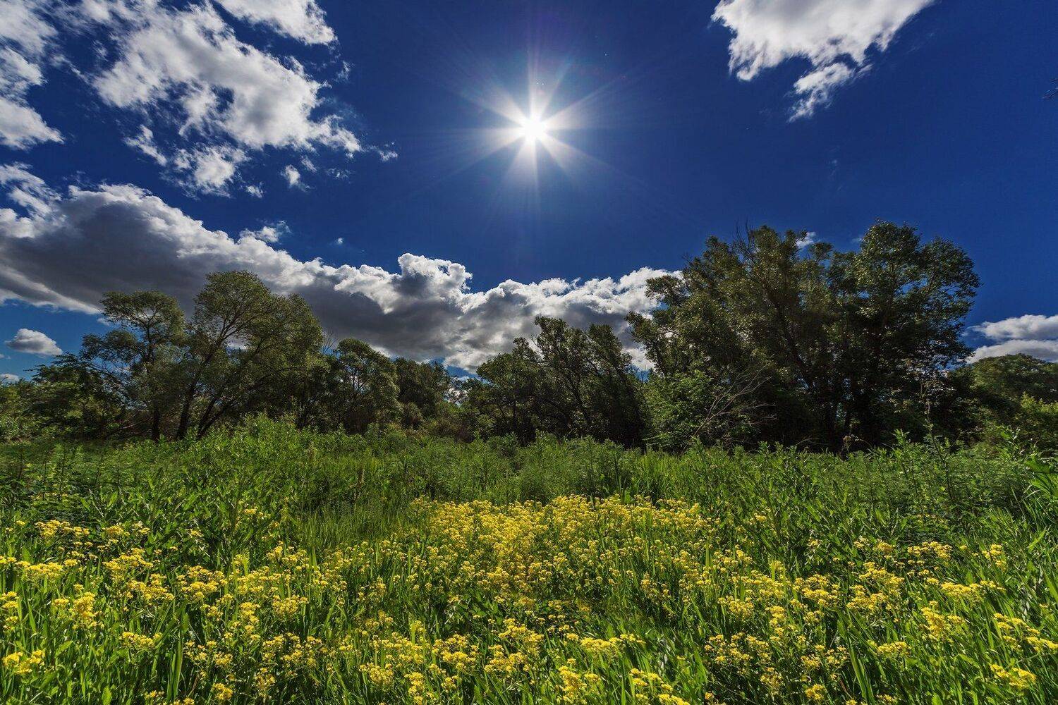 орск оренбургская обл. качурин новотроицк южный урал, Качурин Алексей