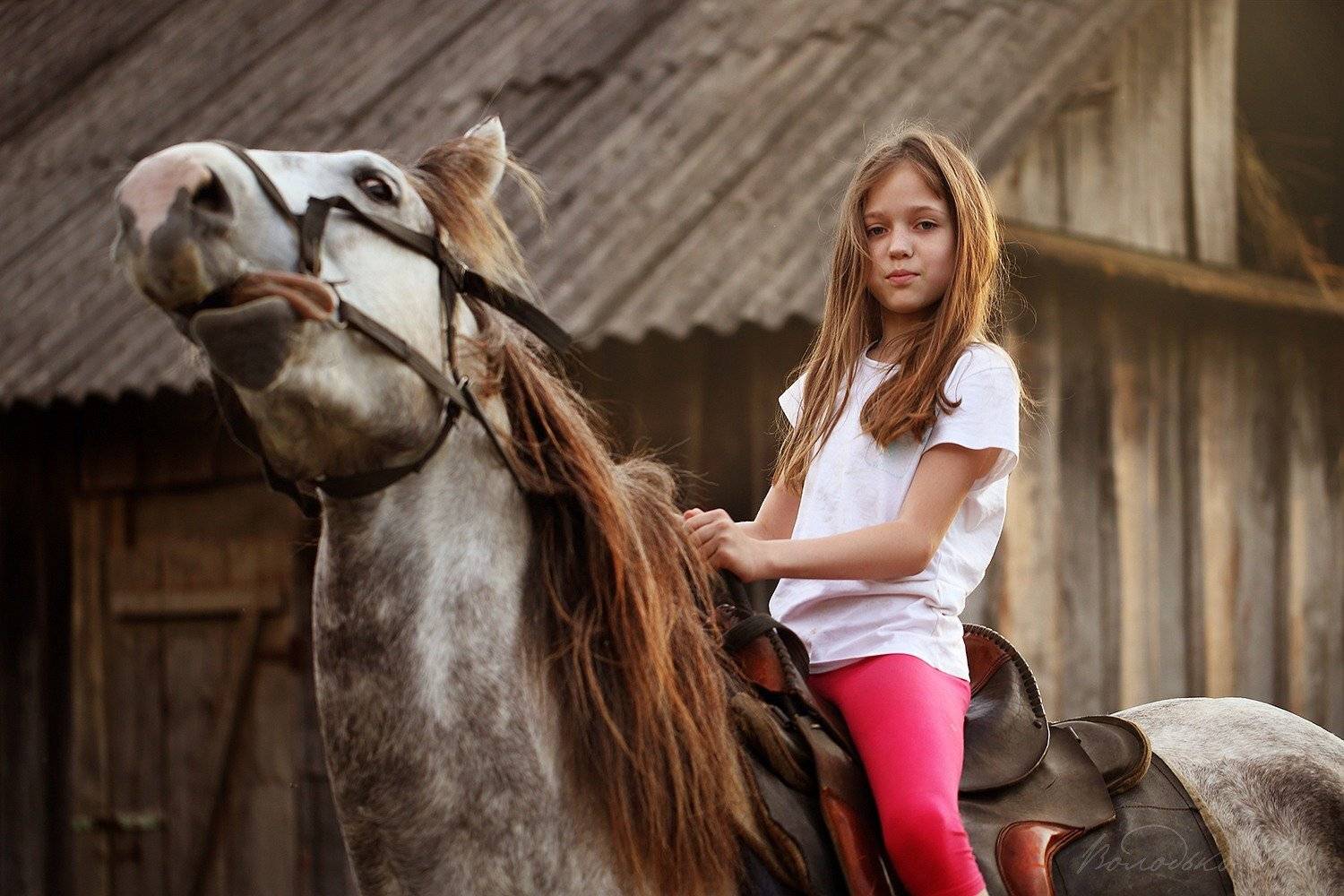 , Марина Володько