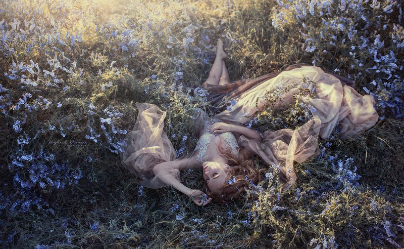 Dream фото превью