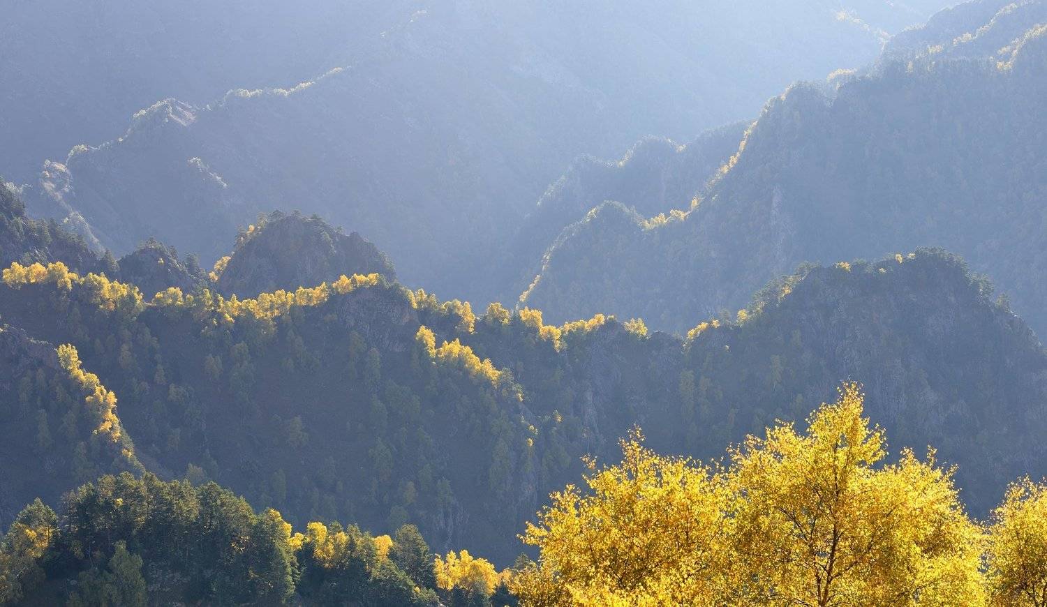 горы осень кавказ, Александр Жарников