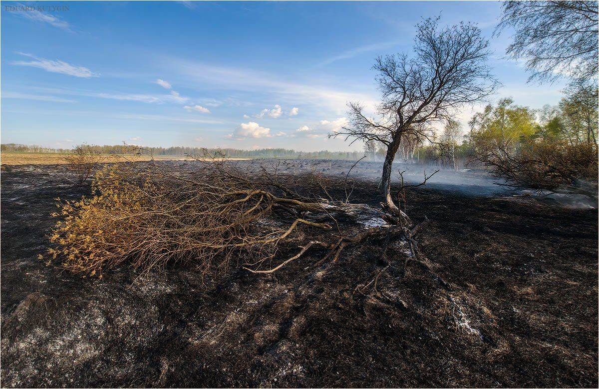 пожар, Кутыгин Эдуард
