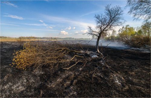 Весенние пожары