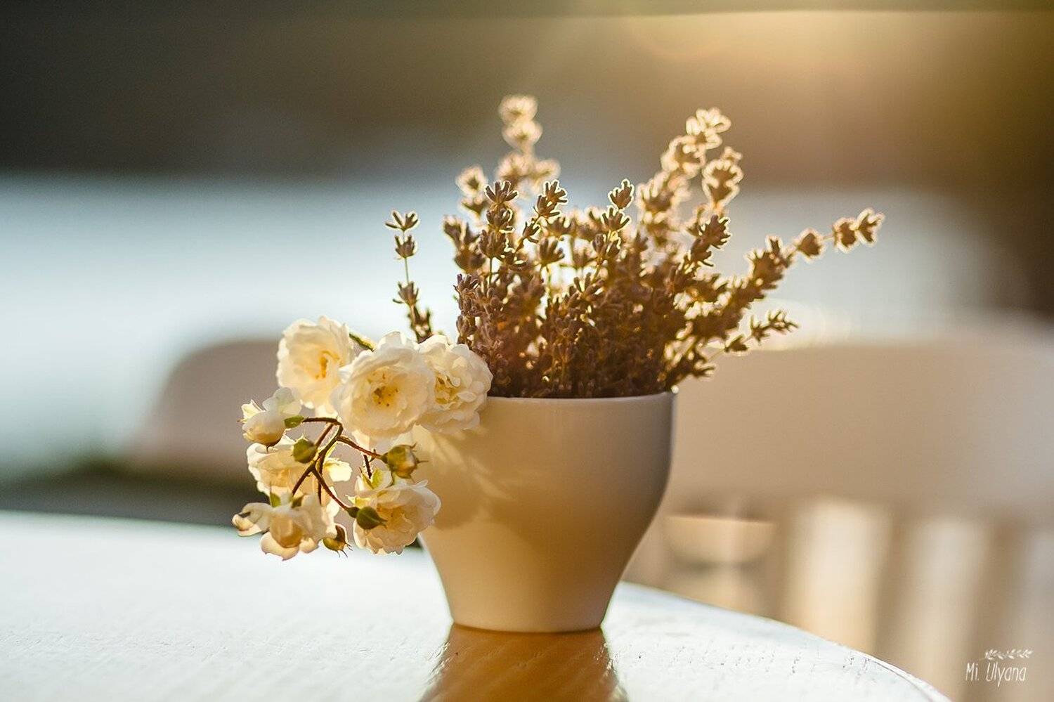 , Ульяна Буканова (Мизинова)