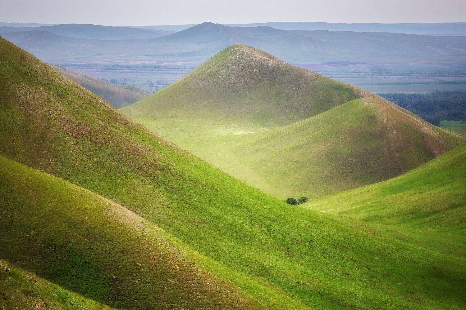 , Павел Сагайдак