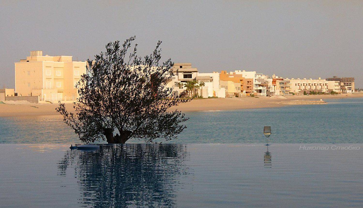 , Николай Стюбко