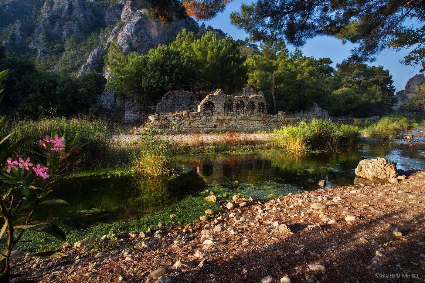 , Екатерина Ионенко