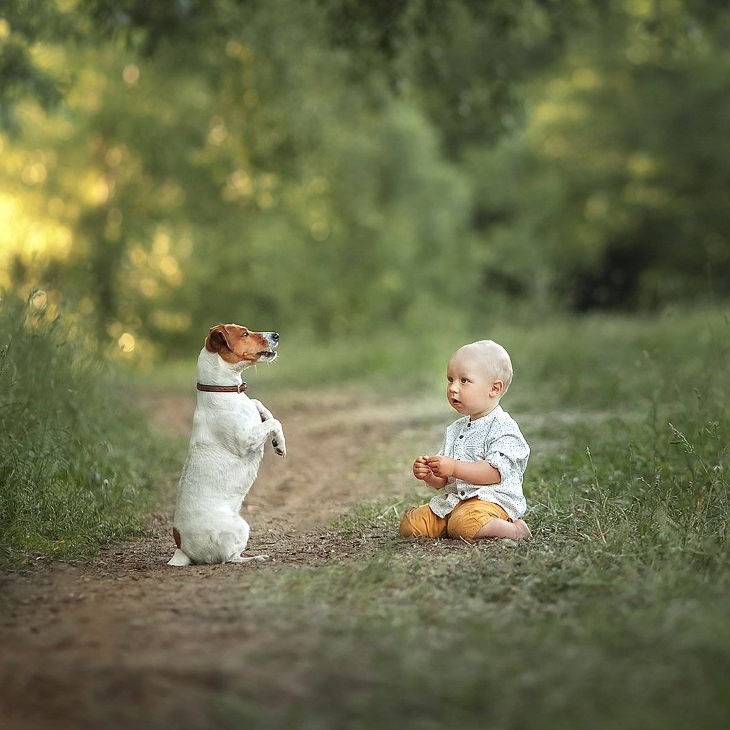 , Ольга Балакир