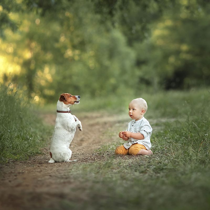 Разговор о важном фото превью