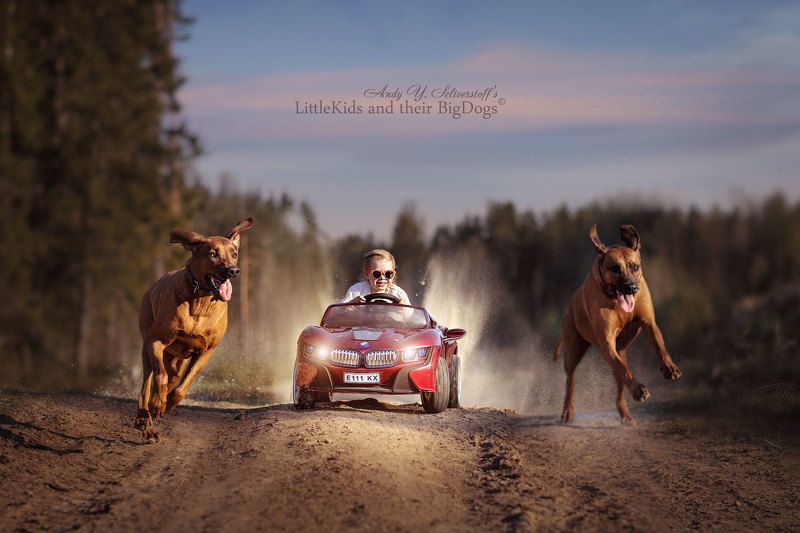 RRR - RHODESIAN RIDGEBACK Racing фото превью