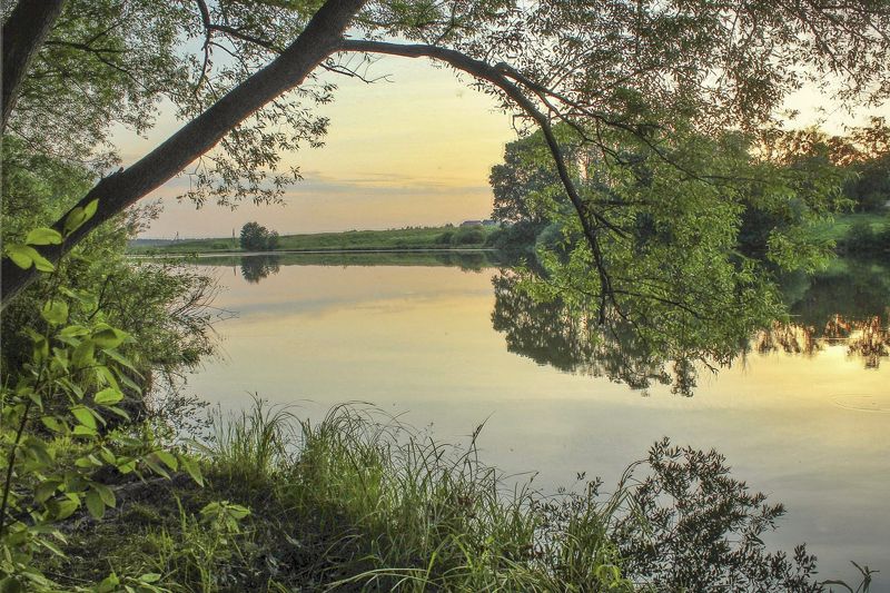 лето,пейзаж.закат,пруд, Тишина заката... фото превью