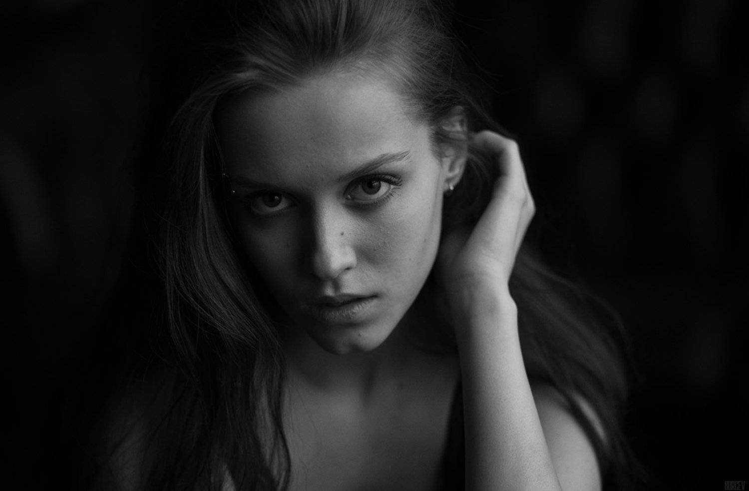 , Алексей Бурцев