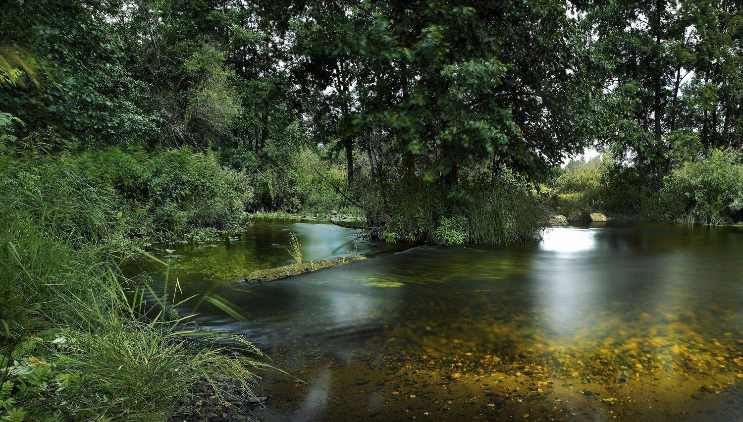 , Бусыгин Борис
