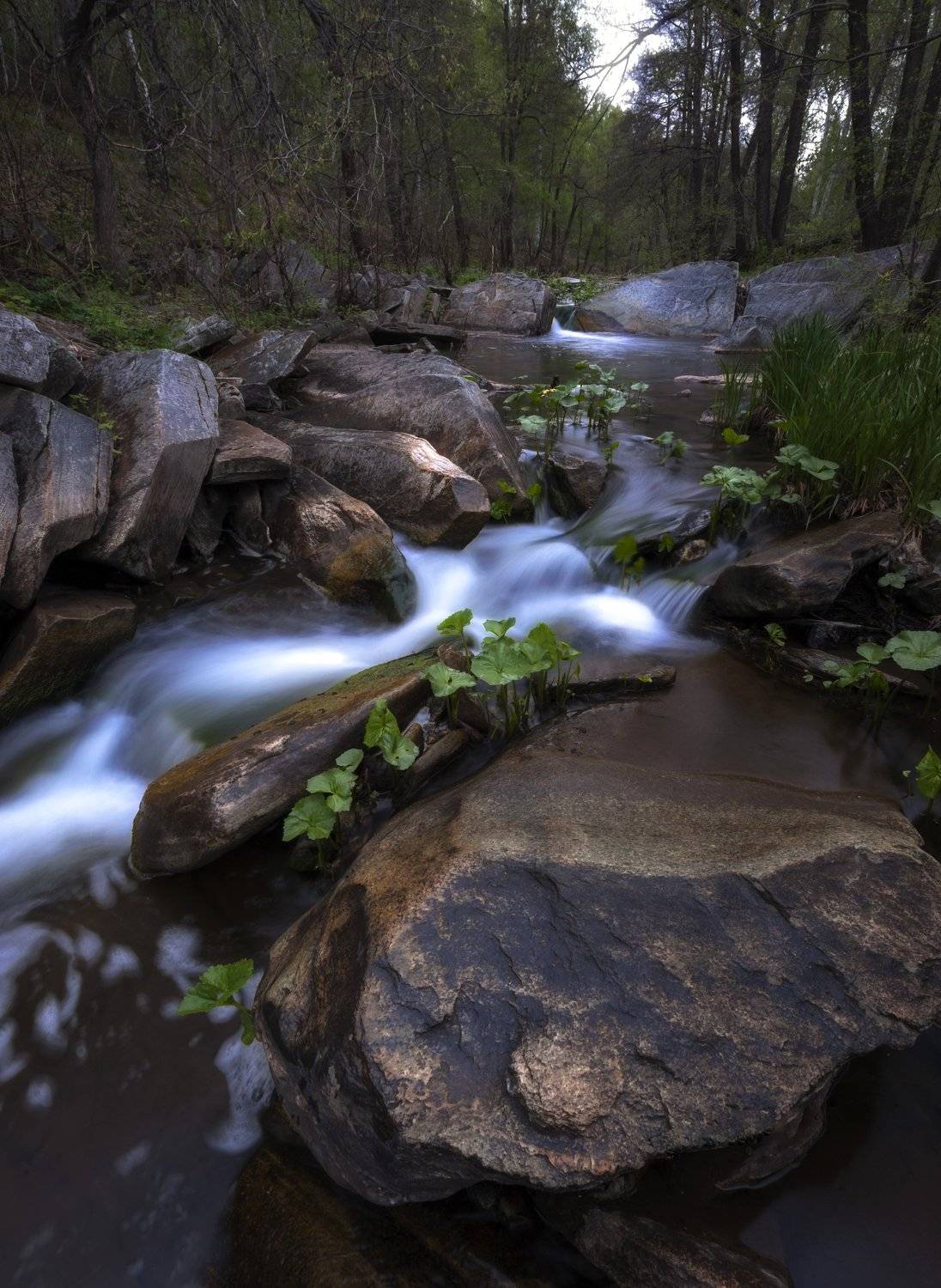 река, ручей, камни, вода, губерля, сара, лес, Илья Логачёв