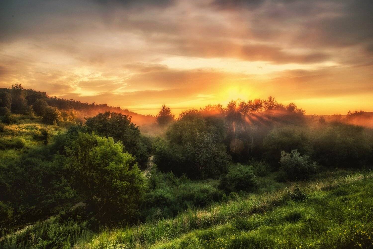 вешенская закат россия  природа пейзаж sunset sunlight nature landscape лес forest fog дымка, Егор Бугримов