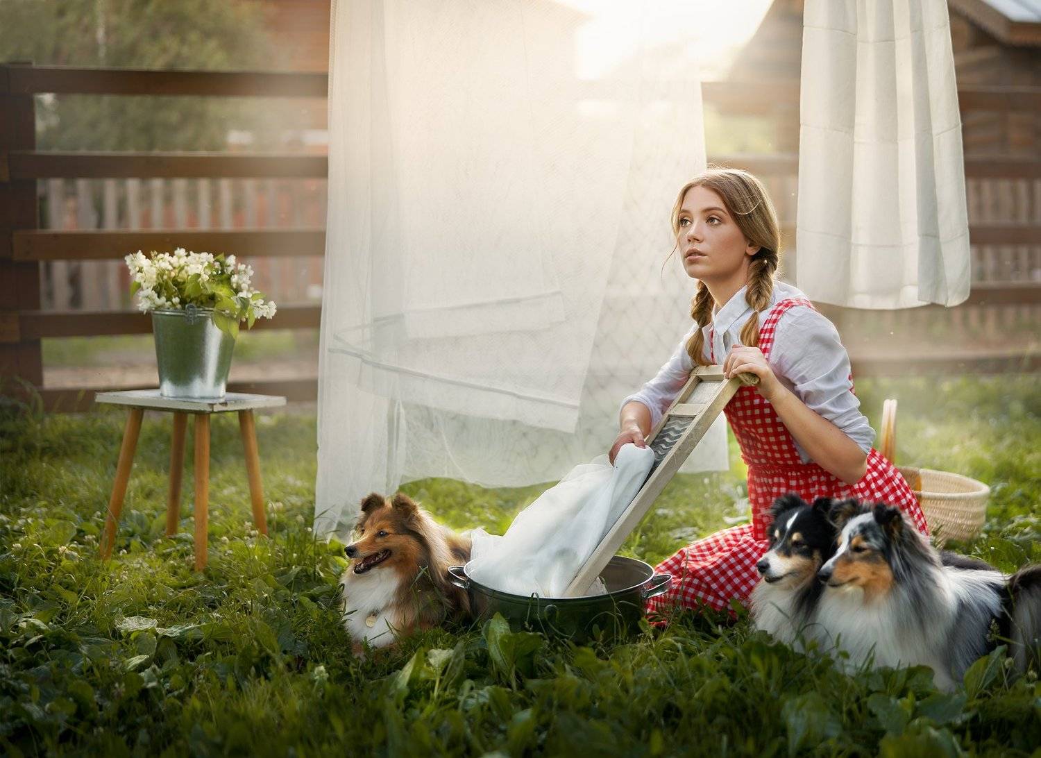 девушка, лето, собака, собаки, портрет, красиво, прачка, деревня, Татьяна Сидюкова