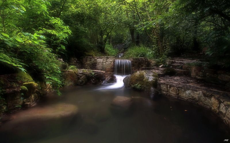 ручей пруд июнь Пруд. фото превью