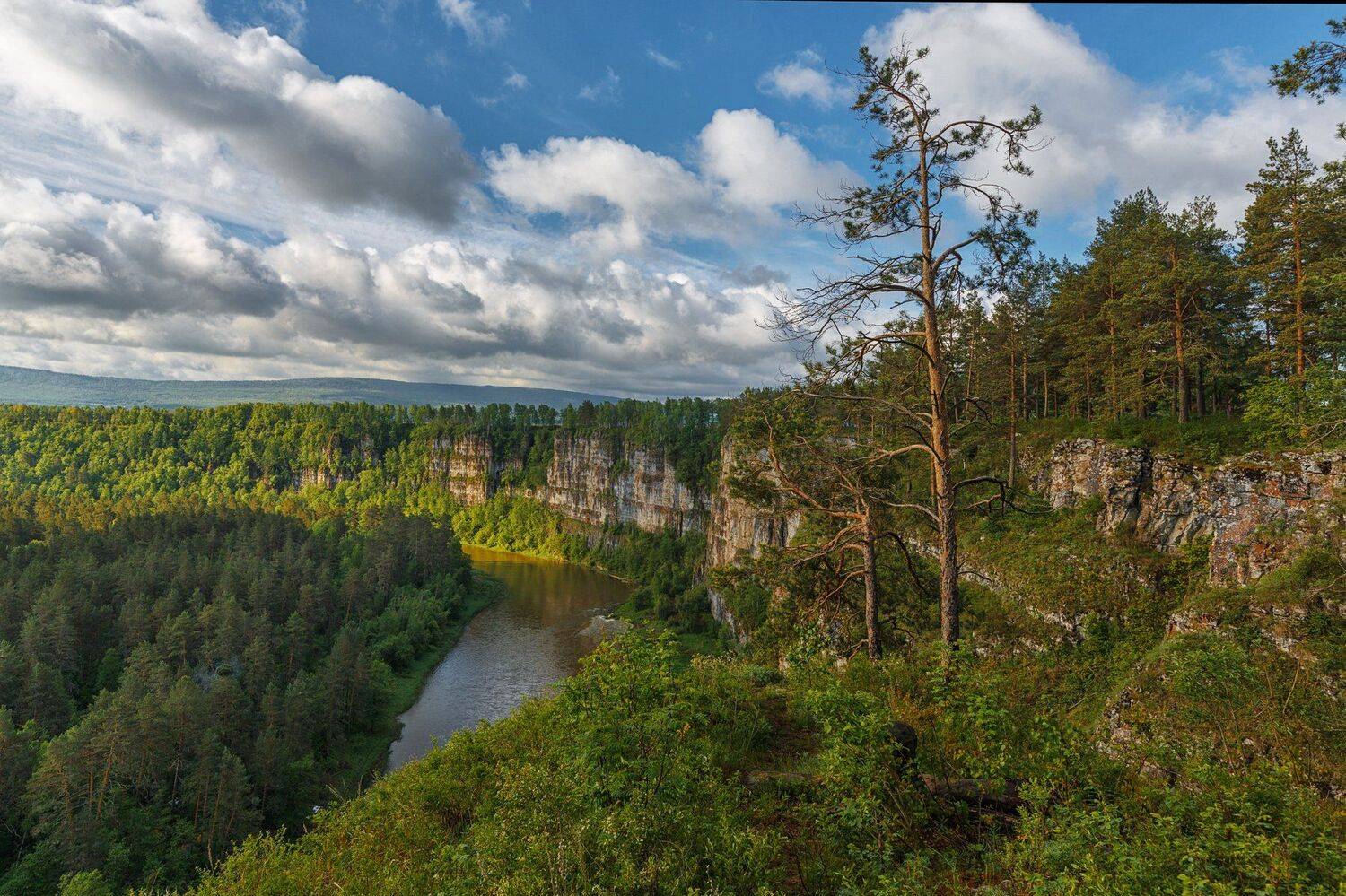 , Шевченко Николай