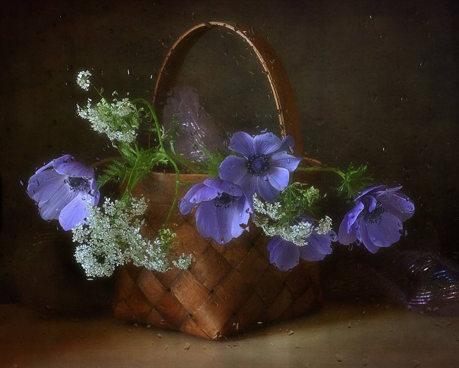 анемоны,натюрморт,капли,лукошко, Наталия К