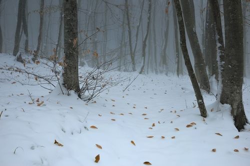 Осень прощай