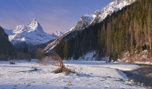 Зимнее утро