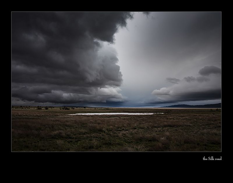 про утренние креатуры... или вечный вопрос фото превью