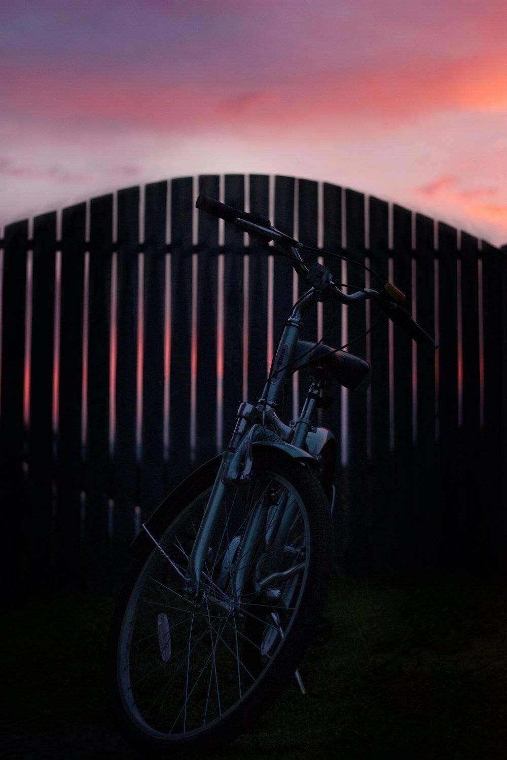 , анна шацкая