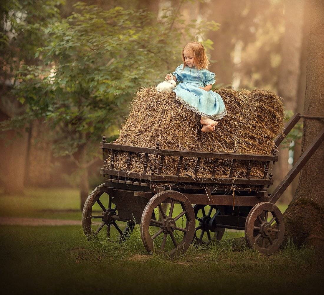 , Диана Аникеева