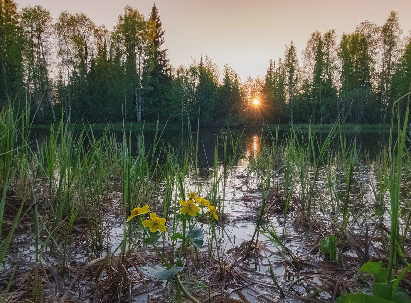 , Игорь Подобаев