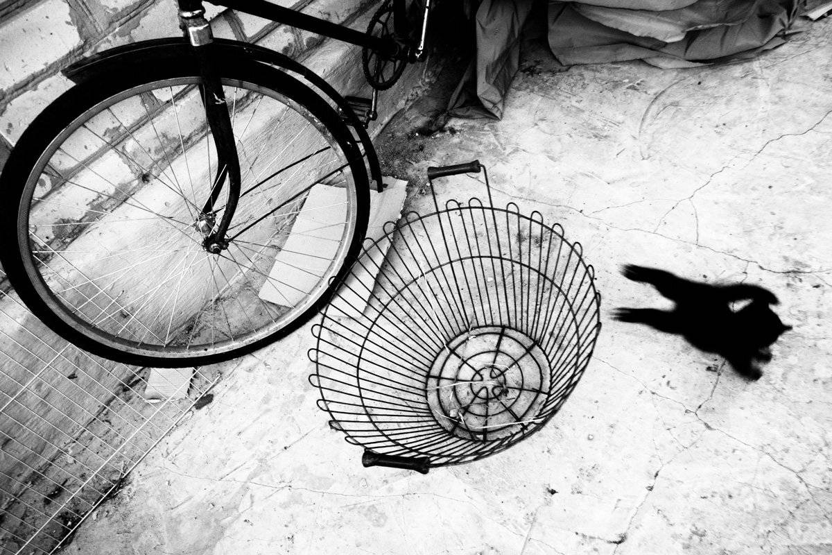 , Татьяна Аверина