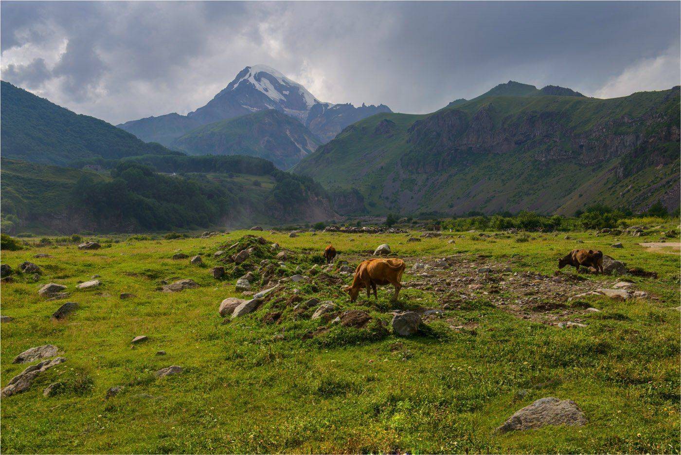 Казбек Казбеги Сьепанцминда Грузия, Кутыгин Эдуард