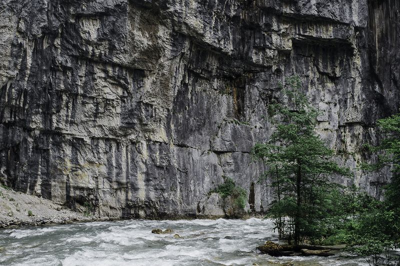 ущелье, стена, горы, скалы, река, дерево, течение, поток Горная река фото превью