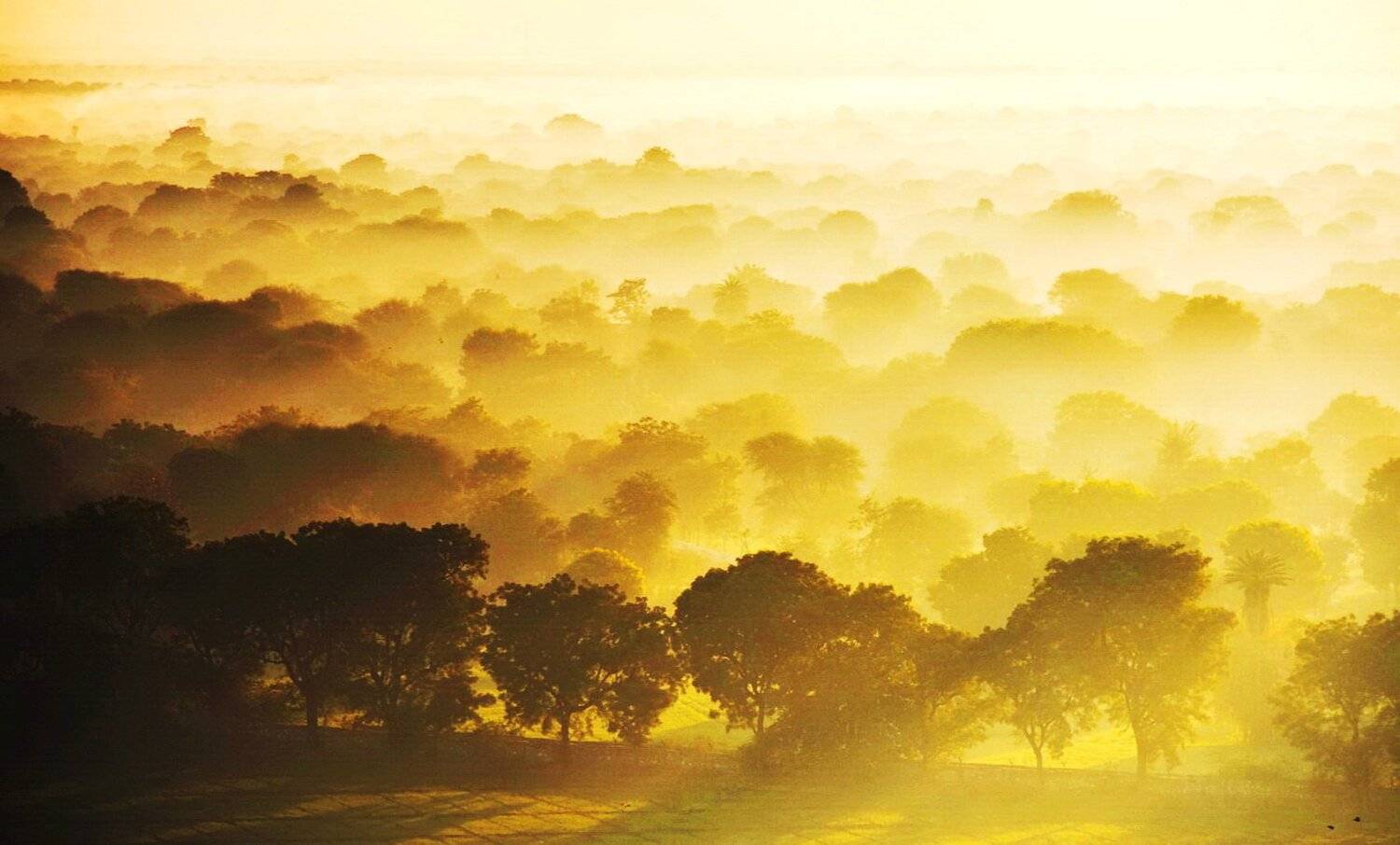 , Inkol Yu  유인걸