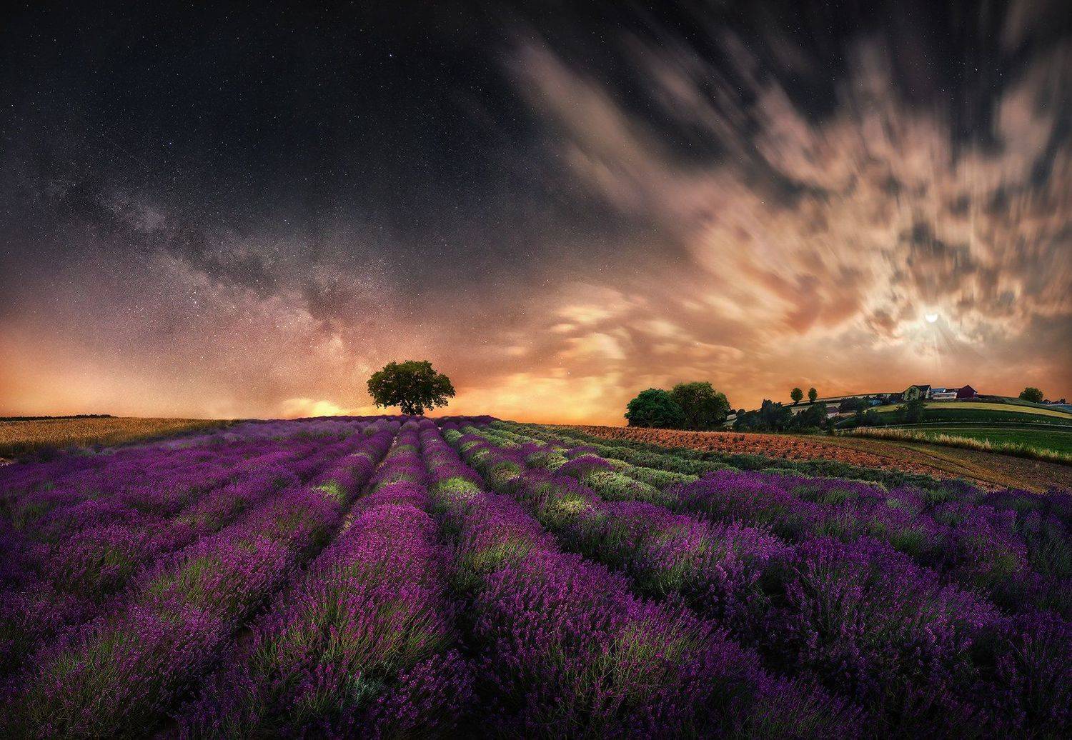 milky way, lavender, field, night, moon, sky, , Patrycja Towarek