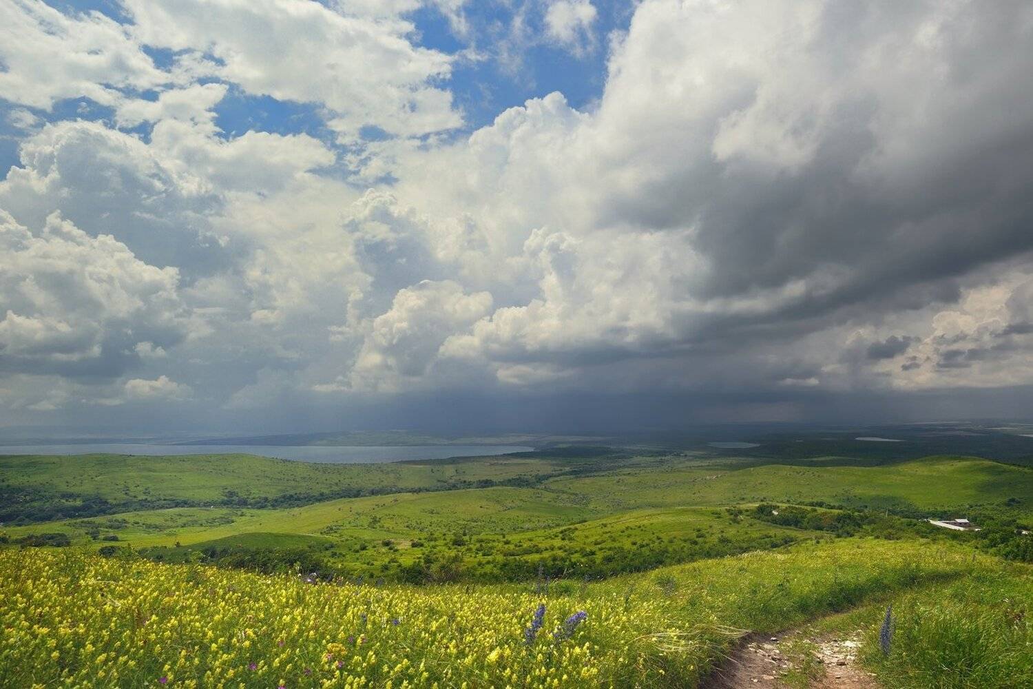 лето степь тучи, Александр Жарников