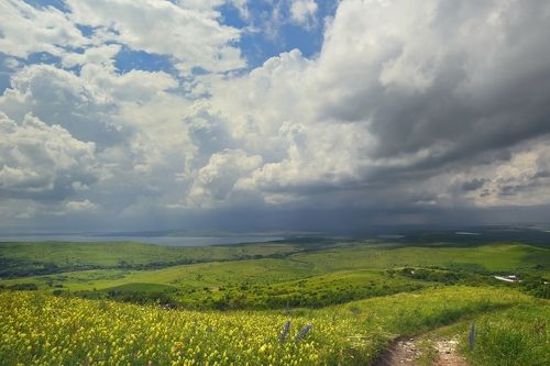 Ставропольская степь