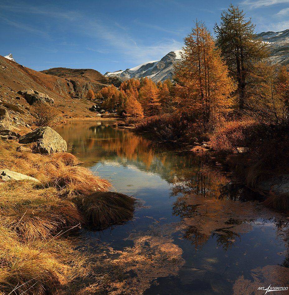 swiss, Матвеев Николай