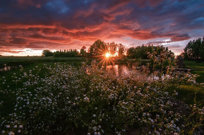 sunset, summer, flowers,clouds, colors Summer sunet фото превью