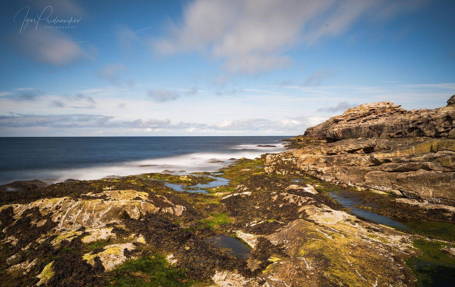 , Игорь Приданников